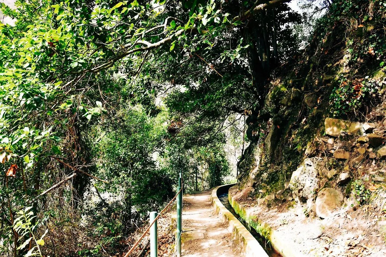Vila Juntos By Your Madeira Rentals Ponta do Sol  Ponta do Sol (Madeira)